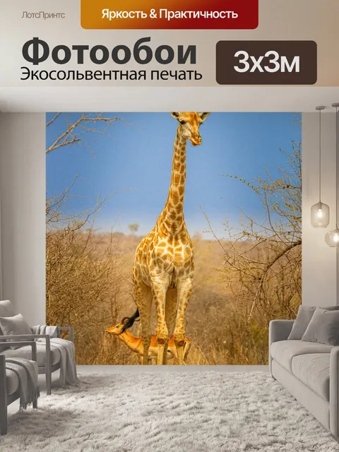 Фотообои Намибия