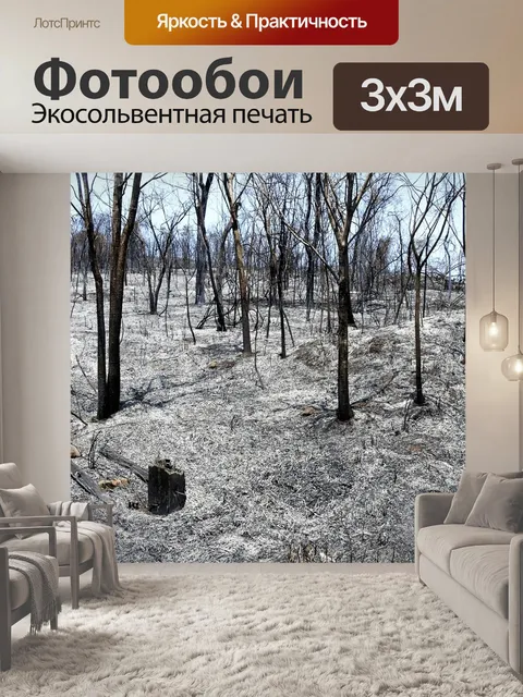 Фотообои Сгорел