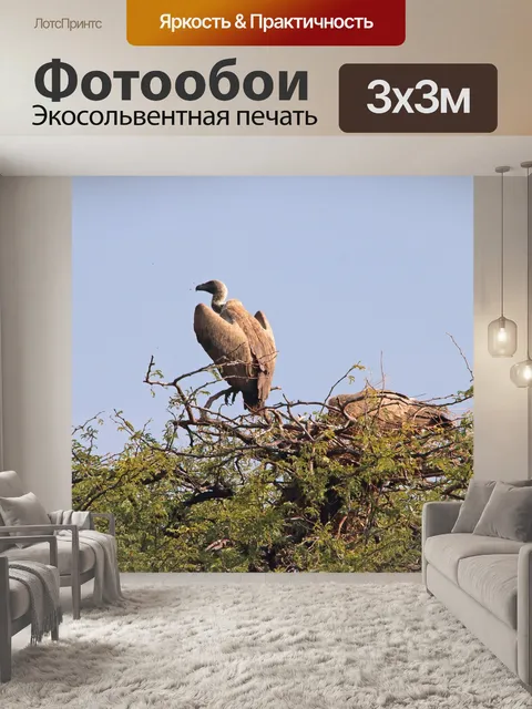 Фотообои стервятники на вершине зеленого куста