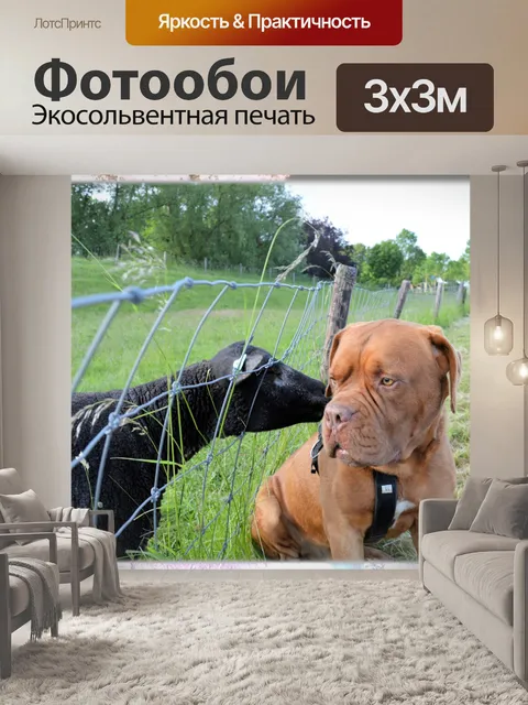 Фотообои Поцелуй 2