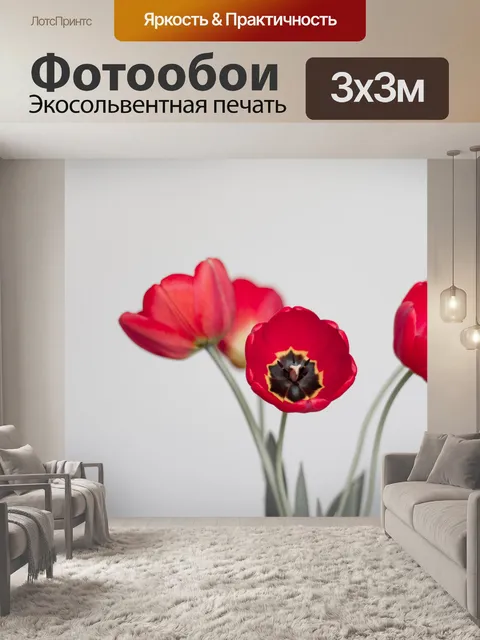 Фотообои Красные тюльпаны