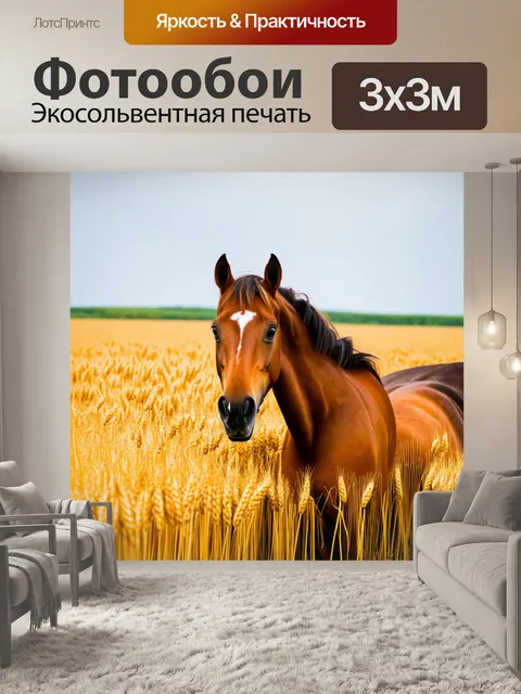 Фотообои лошадь, среди золотых колосьев, задорно грациозная
