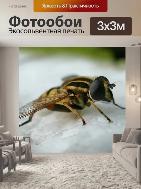 Фотообои Насекомое
