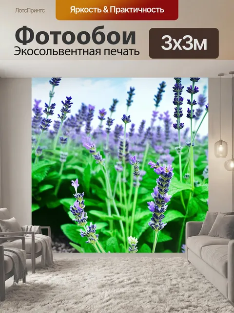 Фотообои мятный цвет показывают ароматный лавандовый сад, где цветы растут на фоне мятного неба