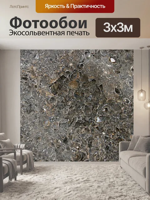 Фотообои Окаменелые раковины в морской скале