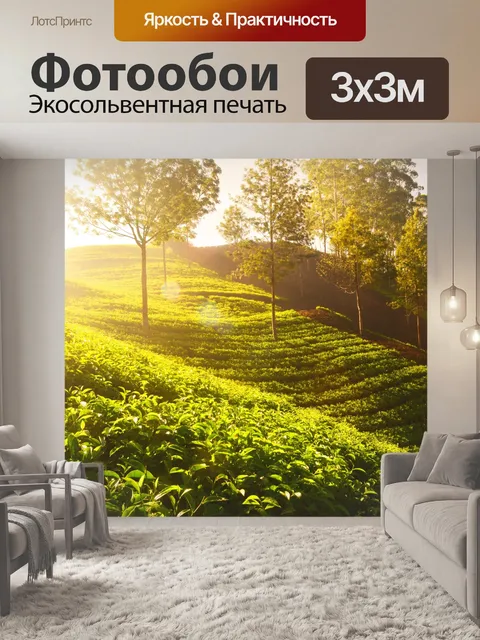 Фотообои Чайная плантация