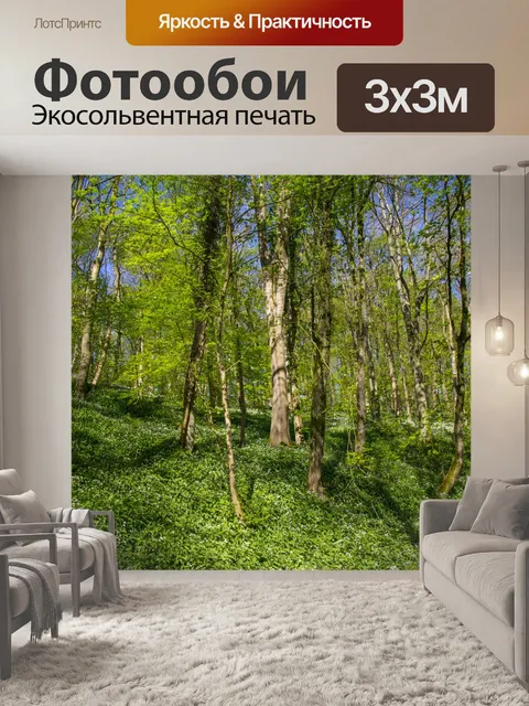 Фотообои Лес в Скиптоне