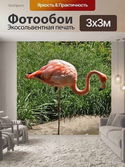 Фотообои Фламинго