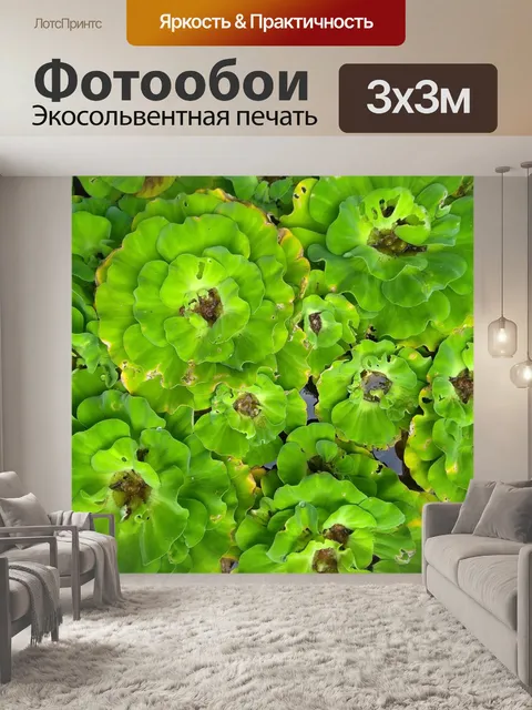 Фотообои Круглый зеленый цветочный фон