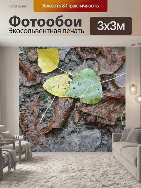Фотообои Листья