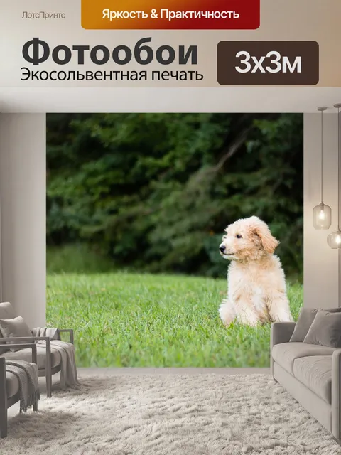 Фотообои Золотой каракули