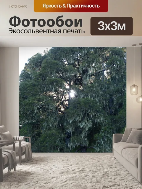 Фотообои Дерево