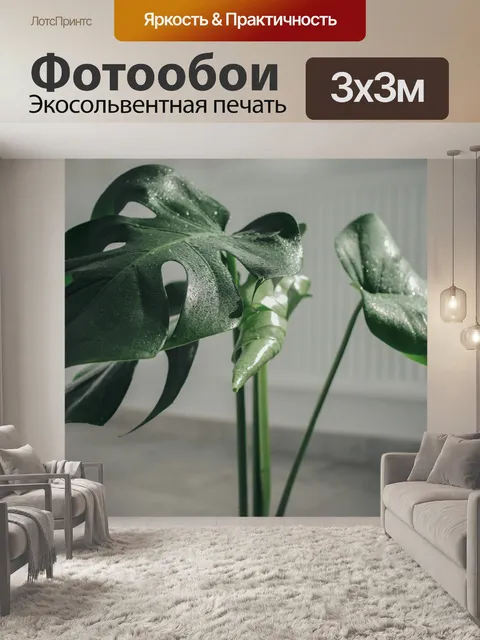 Фотообои Монстера