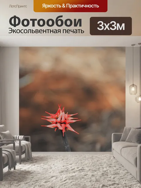 Фотообои Цветочная