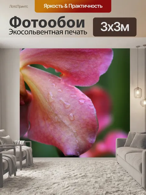 Фотообои лепестки орхидей