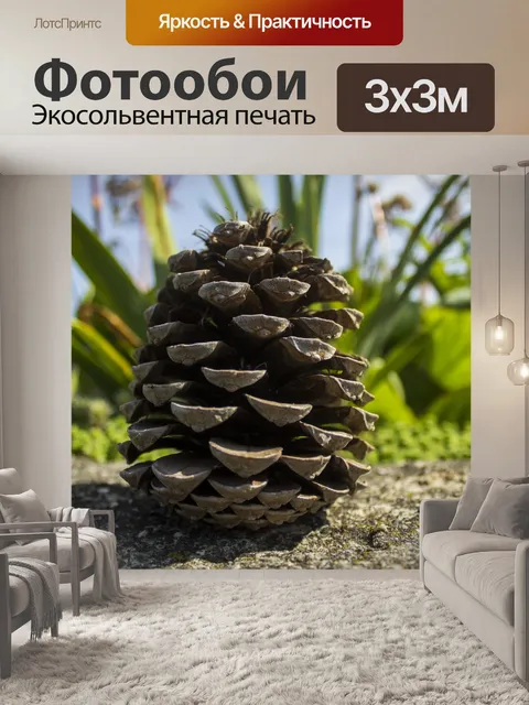 Фотообои Конус