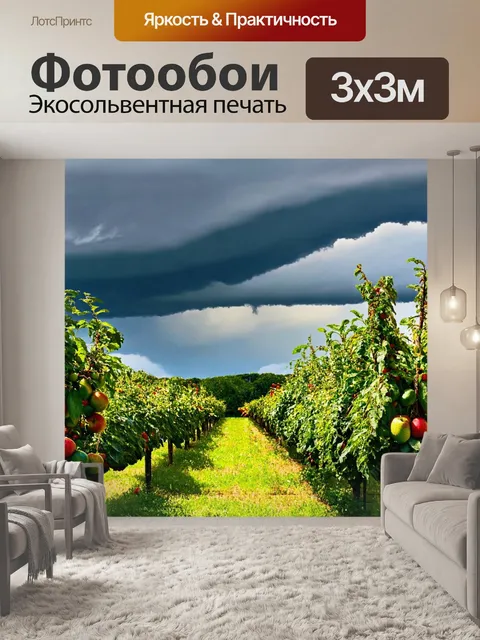 Фотообои пейзаж в стиле раскраска, фруктовый сад с печальными облаками на горизонте