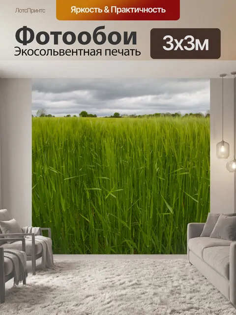 Фотообои Поле зеленого ячменя