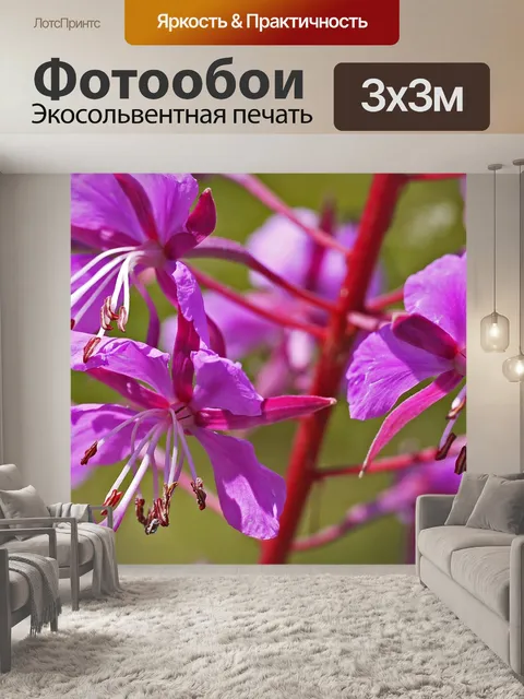 Фотообои Лесной многолетник