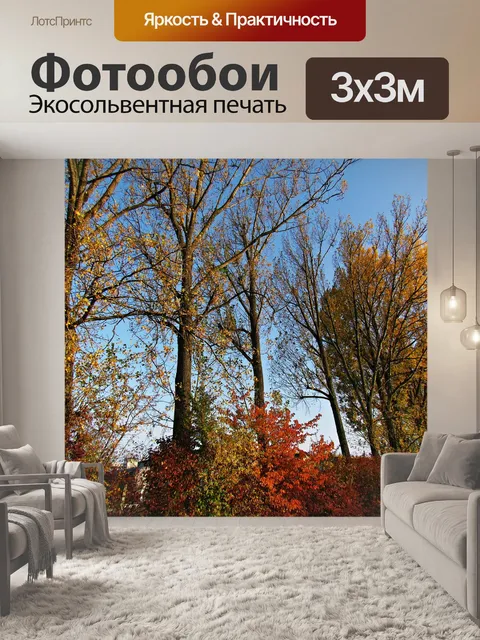 Фотообои Деревья