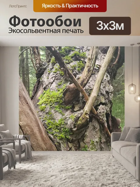 Фотообои Скручивание ветвей дерева