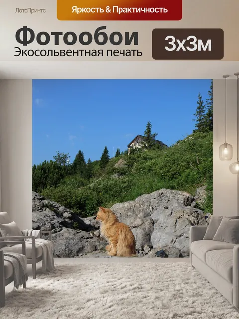 Фотообои Кот
