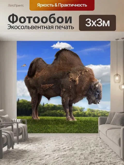 Фотообои Фотоманипуляции