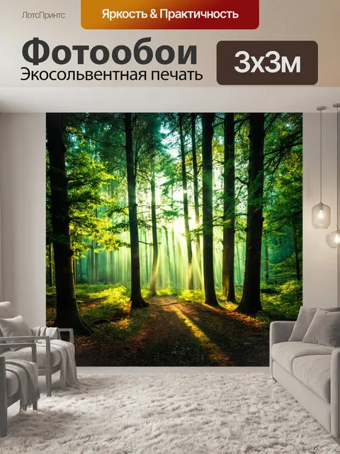 Фотообои лес с волшебным светом, проникающим сквозь деревья