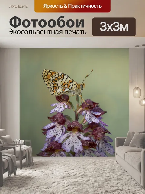 Фотообои Бабочка