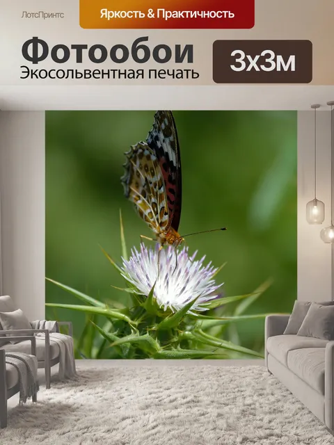 Фотообои Бабочка на белом полевом цветке