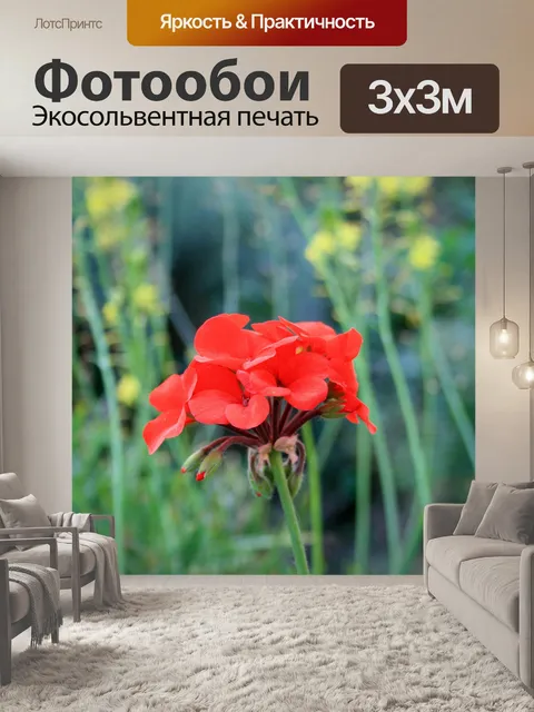 Фотообои Красная герань