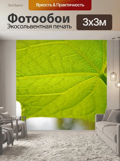 Фотообои прожилками листьев со стержнем