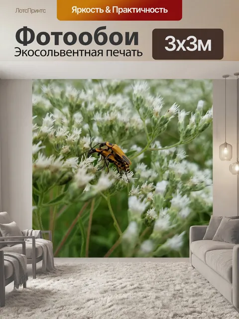 Фотообои Ошибки