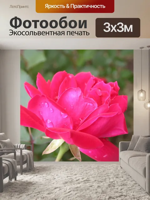Фотообои Роза