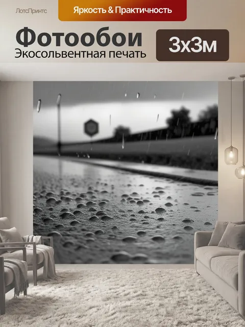 Фотообои пейзаж с дождиком чернобелый