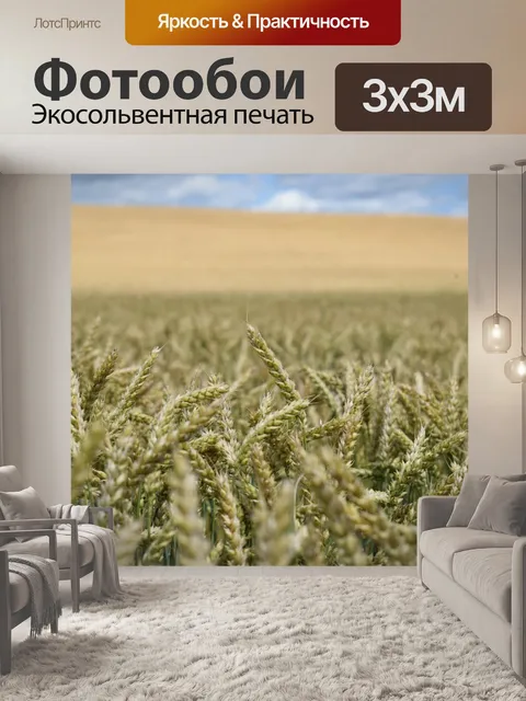 Фотообои Поле