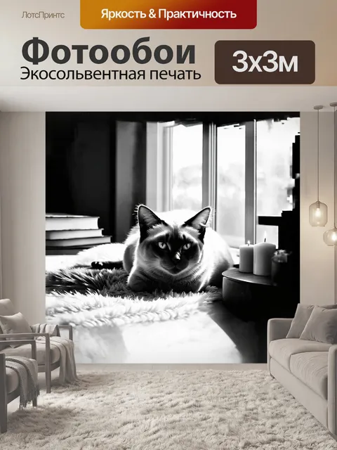Фотообои сиамская кошка, уютно устроившаяся на мягком ворсистом ковре, ловит солнечные лучи, проникающие сквозь окно