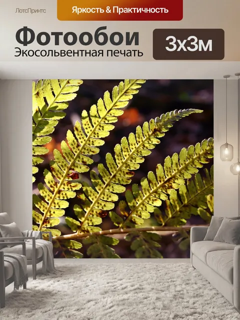 Фотообои Папоротник