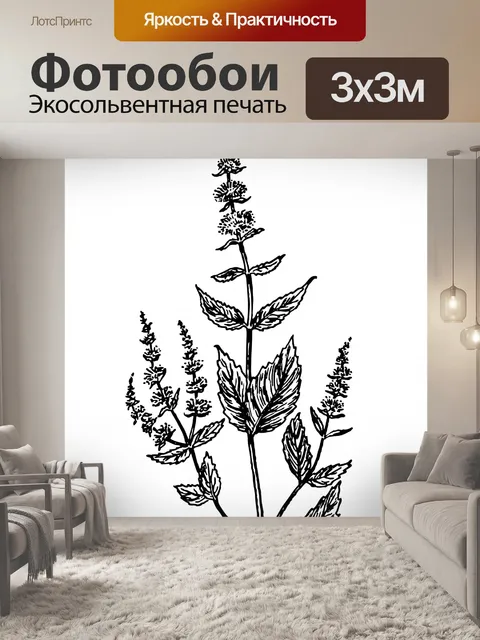 Фотообои Мята цветок завод Clipart
