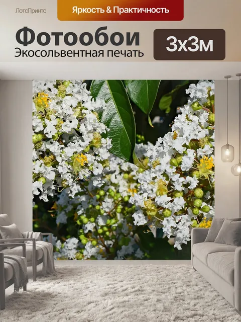 Фотообои Креп миртл с пчелки