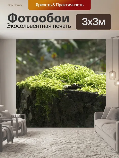 Фотообои Пень