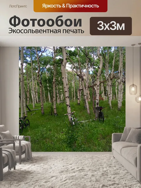 Фотообои Велосипеды среди осин