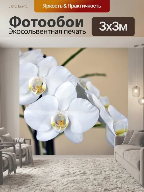 Фотообои Белые Орхидеи