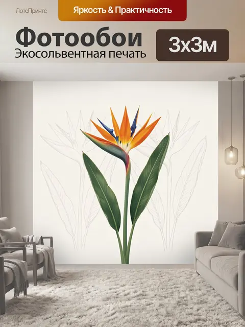 300 × 300 см · Экосольвентная печать