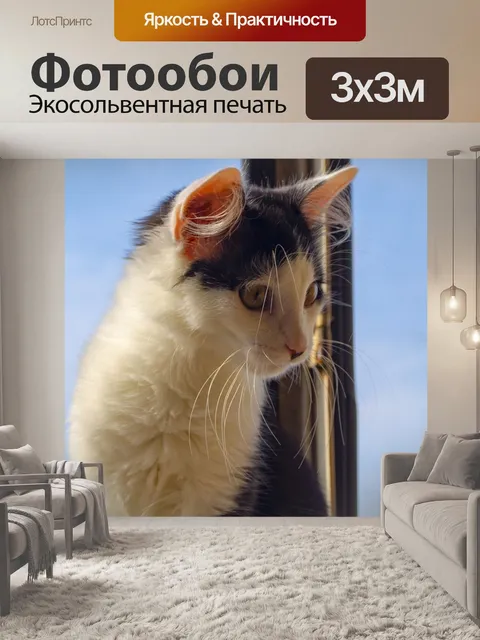 Фотообои Кошка