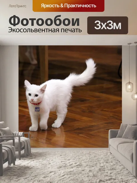Фотообои Белая кошка в доме