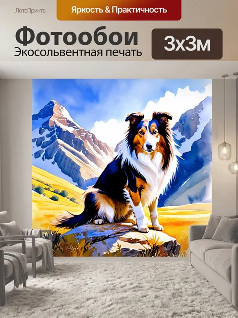 Фотообои на фоне красивого горного пейзажа, колли сидит на скале, его шерсть сверкает на солнечном свете
