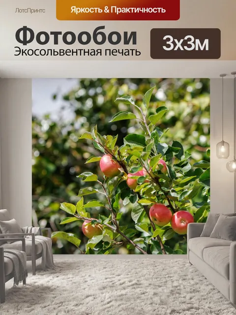 Фотообои Яблоня