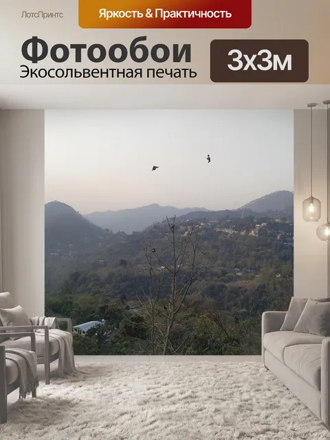 Фотообои Летающая птица