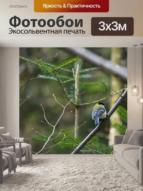 Фотообои Природа